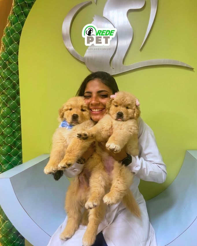 Veterinária da Rede Pet segurando filhotes de golden retriever na loja