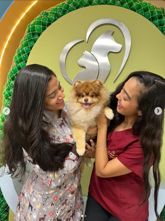 Equipe da Rede Pet segurando um lulu da pomerânia na loja em Simões Filho